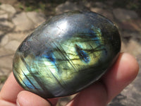 Polished Flashy Labradorite Palm Stones  x 12 From Tulear, Madagascar - TopRock