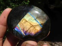 Polished Flashy Labradorite Palm Stones  x 12 From Tulear, Madagascar - TopRock