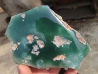 Polished One Side Polished Emerald Mtorolite Plates  x 6 From Zimbabwe