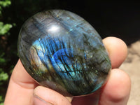 Polished Flashy Labradorite Palm Stones  x 12 From Tulear, Madagascar - TopRock