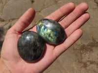 Polished Flashy Labradorite Palm Stones  x 12 From Tulear, Madagascar - TopRock