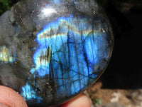 Polished Flashy Labradorite Palm Stones  x 12 From Tulear, Madagascar - TopRock