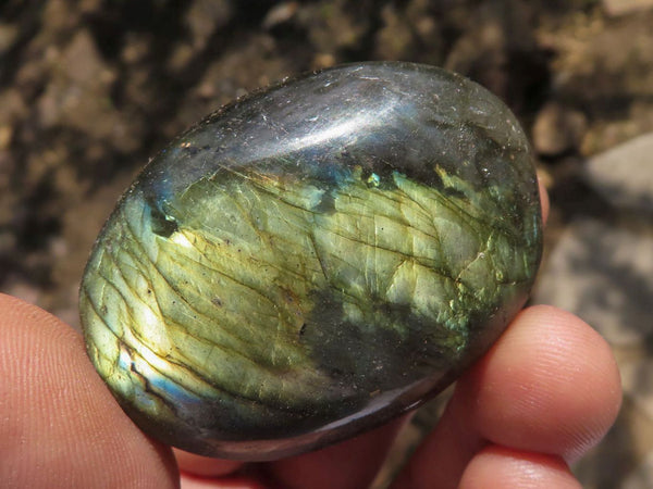 Polished Flashy Labradorite Palm Stones  x 12 From Tulear, Madagascar - TopRock