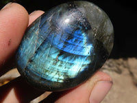 Polished Flashy Labradorite Palm Stones  x 12 From Tulear, Madagascar - TopRock