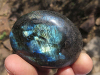 Polished Flashy Labradorite Palm Stones  x 12 From Tulear, Madagascar - TopRock