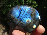 Polished Flashy Labradorite Palm Stones  x 12 From Tulear, Madagascar - TopRock