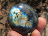 Polished Flashy Labradorite Palm Stones  x 12 From Tulear, Madagascar - TopRock