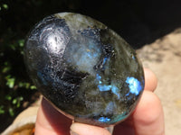 Polished Flashy Labradorite Palm Stones  x 12 From Tulear, Madagascar - TopRock