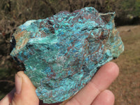 Natural Large Rough Blue Shattuckite Specimens  x 12 From Kaokoveld, Namibia - TopRock