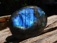 Polished Flashy Labradorite Palm Stones  x 12 From Tulear, Madagascar - TopRock