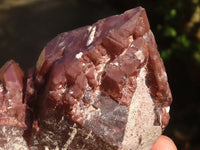 Natural Red Hematoid Phantom Quartz Clusters  x 4 From Zimbabwe - TopRock