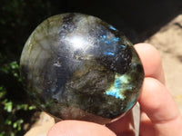 Polished Flashy Labradorite Palm Stones  x 12 From Tulear, Madagascar - TopRock