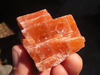 Natural New Sunset Orange Calcite Specimens  x 24 From Spitzkop, Namibia - Toprock Gemstones and Minerals 