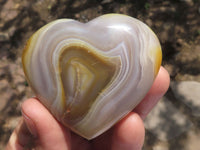 Polished Beautiful Selection Of Carnelian Agate Hearts  x 6 From Madagascar - TopRock