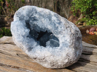 Polished Blue Celestite Geode Specimen  x 1 From Sakoany, Madagascar