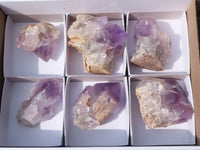 Natural Jacaranda Amethyst Clusters  x 6 From Mumbwa, Zambia - Toprock Gemstones and Minerals 