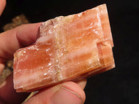 Natural New Sunset Orange Calcite Specimens  x 24 From Spitzkop, Namibia - Toprock Gemstones and Minerals 