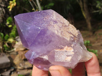 Natural Jacaranda Amethyst Clusters  x 6 From Mumbwa, Zambia - Toprock Gemstones and Minerals 