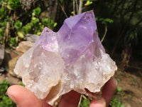 Natural Jacaranda Amethyst Clusters  x 6 From Mumbwa, Zambia - Toprock Gemstones and Minerals 