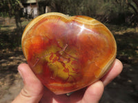 Polished Beautiful Selection Of Carnelian Agate Hearts  x 6 From Madagascar - TopRock