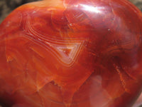 Polished Beautiful Selection Of Carnelian Agate Hearts  x 6 From Madagascar - TopRock