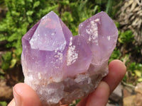 Natural Jacaranda Amethyst Clusters  x 6 From Mumbwa, Zambia - Toprock Gemstones and Minerals 