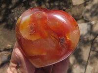 Polished Beautiful Selection Of Carnelian Agate Hearts  x 6 From Madagascar - TopRock