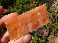 Natural New Sunset Orange Calcite Specimens  x 24 From Spitzkop, Namibia - Toprock Gemstones and Minerals 