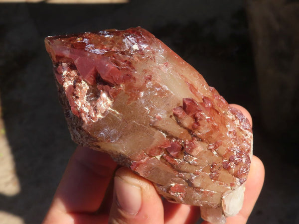 Natural Red Hematoid Quartz Specimens x 6 From Zimbabwe