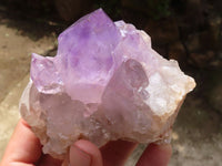 Natural Jacaranda Amethyst Clusters  x 6 From Mumbwa, Zambia - Toprock Gemstones and Minerals 