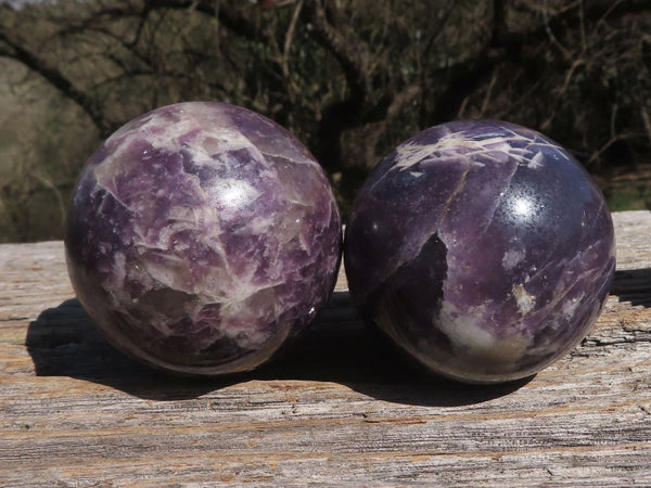 Polished Deep Purple Lepidolite Spheres  x 4 From Madagascar - TopRock