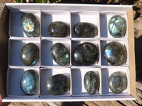 Polished Labradorite Palm Stones x 12 From Tulear, Madagascar