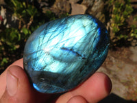 Polished Labradorite Palm Stones x 12 From Tulear, Madagascar