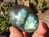 Polished Labradorite Palm Stones x 12 From Tulear, Madagascar