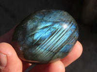 Polished Labradorite Palm Stones x 12 From Tulear, Madagascar