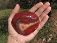 Polished Stunning Selection Of Carnelian Agate Hearts  x 4 From Madagascar - TopRock