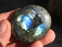 Polished Labradorite Palm Stones x 12 From Tulear, Madagascar