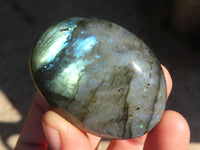 Polished Labradorite Palm Stones x 12 From Tulear, Madagascar