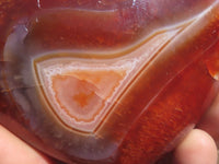 Polished Stunning Selection Of Carnelian Agate Hearts  x 4 From Madagascar - TopRock