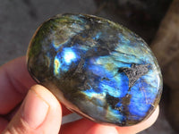 Polished Labradorite Palm Stones x 12 From Tulear, Madagascar