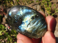 Polished Labradorite Palm Stones x 12 From Tulear, Madagascar