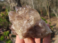 Natural Cascading Smokey Quartz Clusters x 3 From Luena, Congo