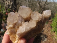 Natural Cascading Smokey Quartz Clusters x 3 From Luena, Congo