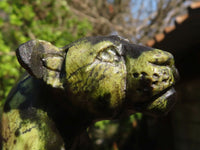 Polished  Leopard Stone Hand Crafted Lioness Carving  x 1 From Zimbabwe