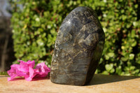 Polished Beautiful Rainbow Labradorite Standing Free Form With Intense Full Face Flash x 1 From Tulear, Madagascar - TopRock