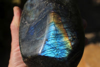 Polished Beautiful Rainbow Labradorite Standing Free Form With Intense Full Face Flash x 1 From Tulear, Madagascar - TopRock