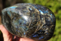 Polished Beautiful Rainbow Labradorite Standing Free Form With Intense Full Face Flash x 1 From Tulear, Madagascar - TopRock