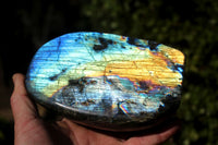 Polished Beautiful Rainbow Labradorite Standing Free Form With Intense Full Face Flash x 1 From Tulear, Madagascar - TopRock