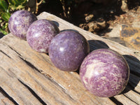 Polished Purple Lepidolite Spheres  x 4 From Madagascar