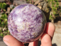 Polished Purple Lepidolite Spheres  x 4 From Madagascar